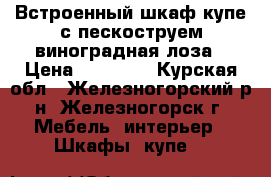 Встроенный шкаф-купе с пескоструем-виноградная лоза › Цена ­ 42 500 - Курская обл., Железногорский р-н, Железногорск г. Мебель, интерьер » Шкафы, купе   